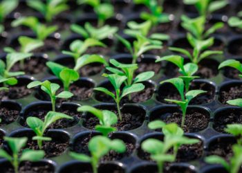 VC Lab introduces free fund formation documents to make startup investing cheaper and easier