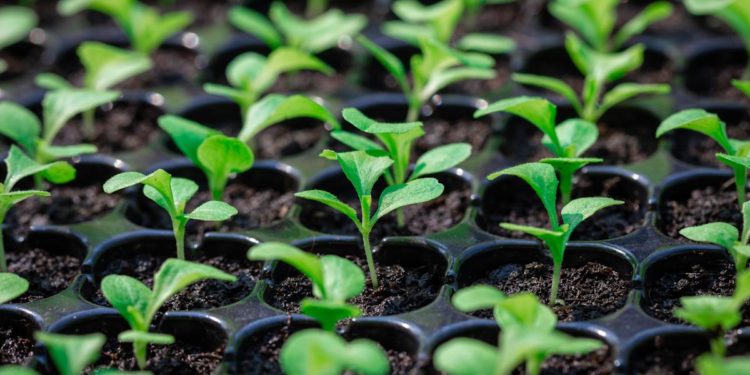 VC Lab introduces free fund formation documents to make startup investing cheaper and easier