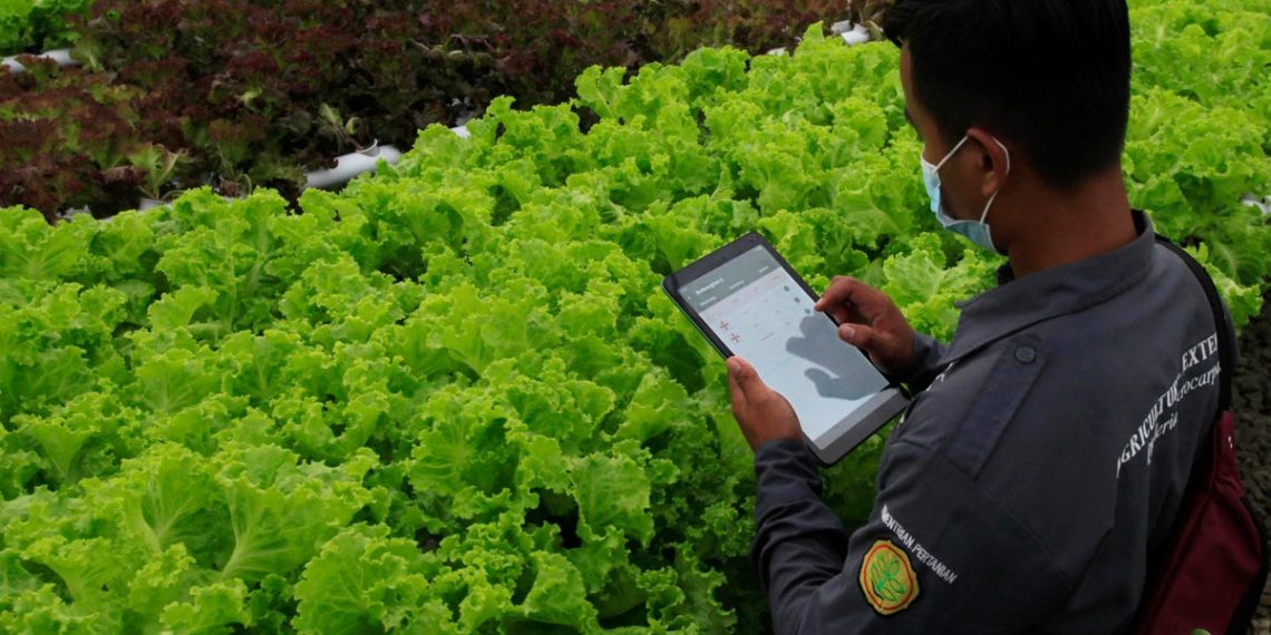 FinTech Can Help Fill Climate Resilience Gaps In Emerging Markets