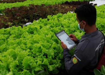 FinTech Can Help Fill Climate Resilience Gaps In Emerging Markets