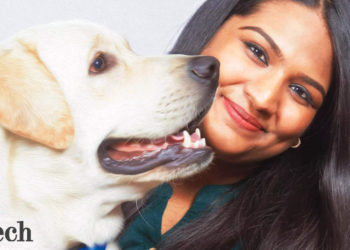 wiggles funding: Petcare startup Wiggles raises $5.5 million from Anthill Ventures, others