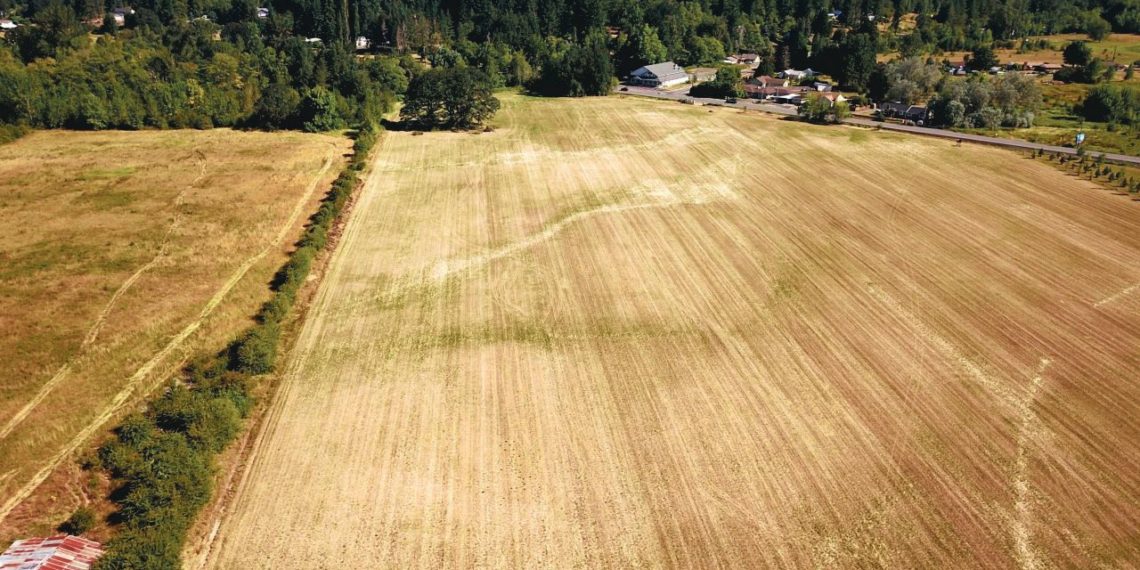 Port CEO: Shrimp Aquaculture Startup Signals Interest in 10 Acres of Port of Chehalis Property