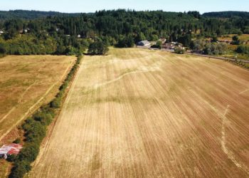 Port CEO: Shrimp Aquaculture Startup Signals Interest in 10 Acres of Port of Chehalis Property