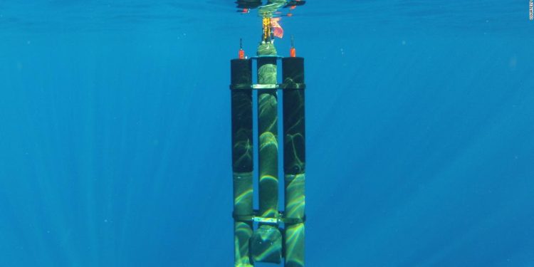 Electric robots are mapping the seafloor, Earth’s last frontier