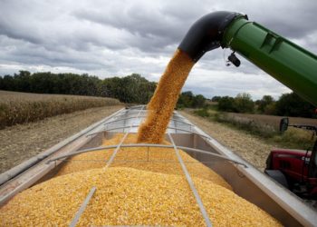Agricultural Giants Sell Digital Venture to Crop Tech Startup Bushel