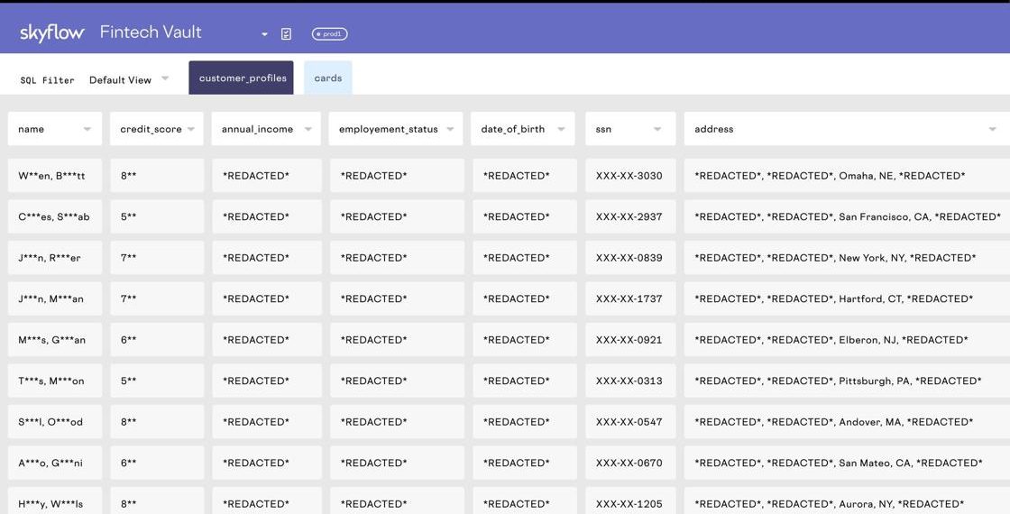 Skyflow Launches Fintech Data Privacy Vault | Business