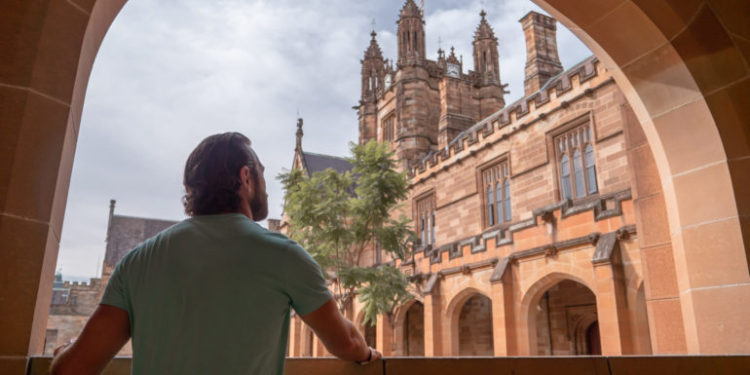 How AI can shape university courses and what students should study to help them get the jobs they want