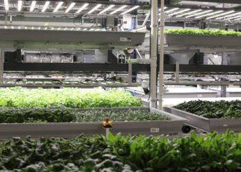 Bionic hydroponic – TechCrunch