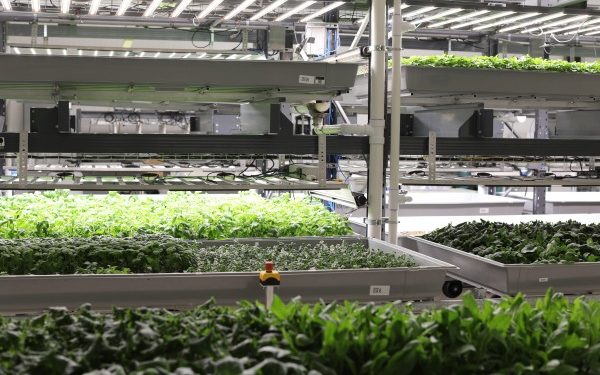Bionic hydroponic – TechCrunch