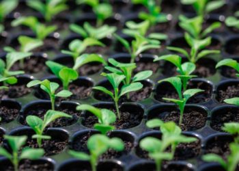 VC Lab introduces free fund formation documents to make startup investing cheaper and easier – TechCrunch