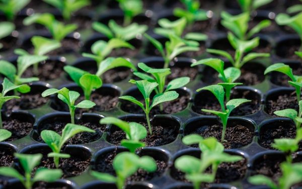 VC Lab introduces free fund formation documents to make startup investing cheaper and easier – TechCrunch