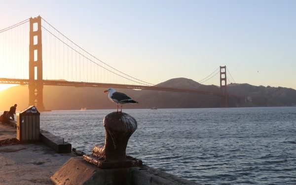 Automattic TC-1, federal startup grants, ‘getting s*** done day’ – TechCrunch