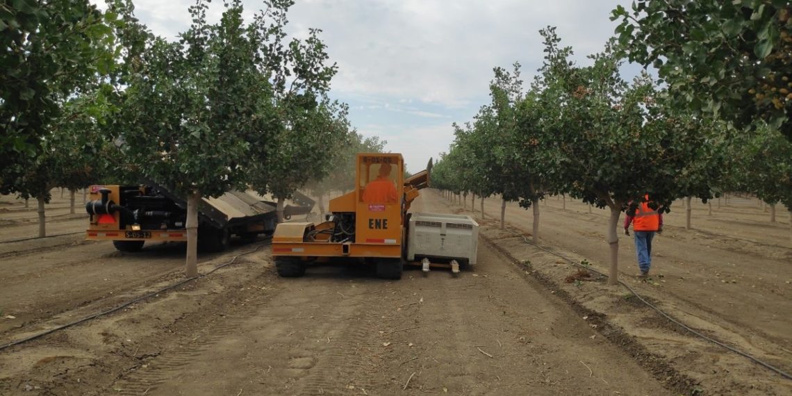 Edete Precision Technologies Increases Pistachio Yields With Pollinator Robots