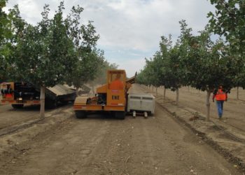 Edete Precision Technologies Increases Pistachio Yields With Pollinator Robots