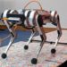 One Giant Leap for MIT’s Robotic Mini Cheetah