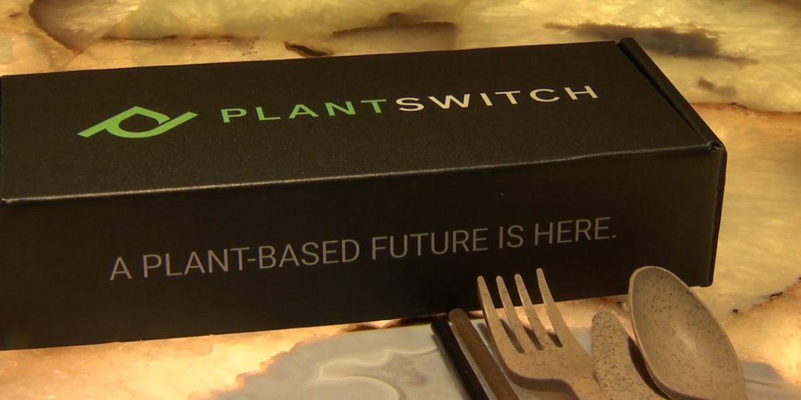 SMU Grads Launch Sustainable Startup – NBC 5 Dallas-Fort Worth