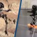 Video Shows Off How New Robot Can Skateboard, Slackline And Fly