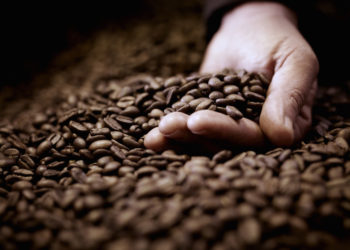 Upcycled coffee startup Kaffe Bueno awarded €2.5m European Innovation Council grant