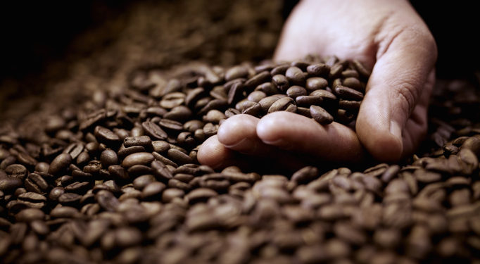 Upcycled coffee startup Kaffe Bueno awarded €2.5m European Innovation Council grant