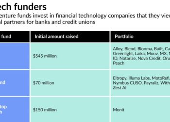 Software firm Monit latest beneficiary of small banks’ fintech funding
