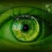 Fraud never sleeps: Why biometrics is essential for effective fraud prevention
