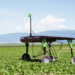 Global Weeding Farm Robot Market to See Major Growth by 2027