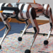 MIT Engineers Showed a Robotic Cheetah How to Take One Giant Leap