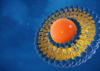 How to program DNA robots to poke and prod cell membranes