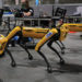 DARPA Pushes Underground Robots to Their Limit