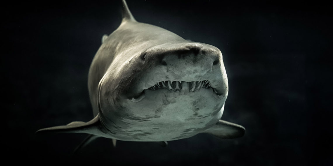 Executives’ top concern in Q3 2021? New ransomware models