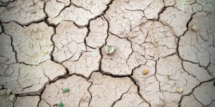 Bipedal Robot Combines Walking and Flying to Navigate Rough Terrain