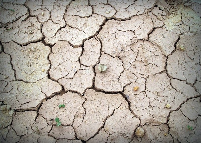 Bipedal Robot Combines Walking and Flying to Navigate Rough Terrain