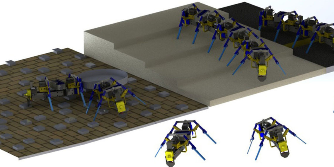 Ant-like swarm robots built by a researcher at Notre Dame
