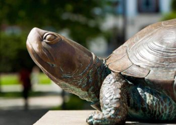 Maryland Today | IonQ Joins UMD Quantum Startup Foundry