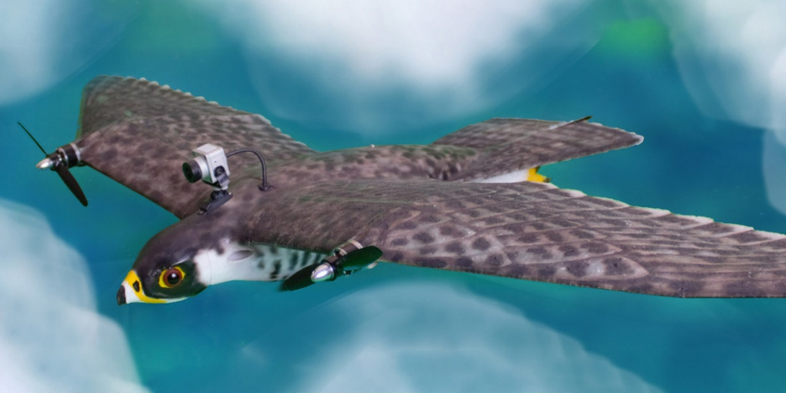 5 robotic animal imitators built for science