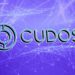 Cudos partners with fintech investment company ChainLayer