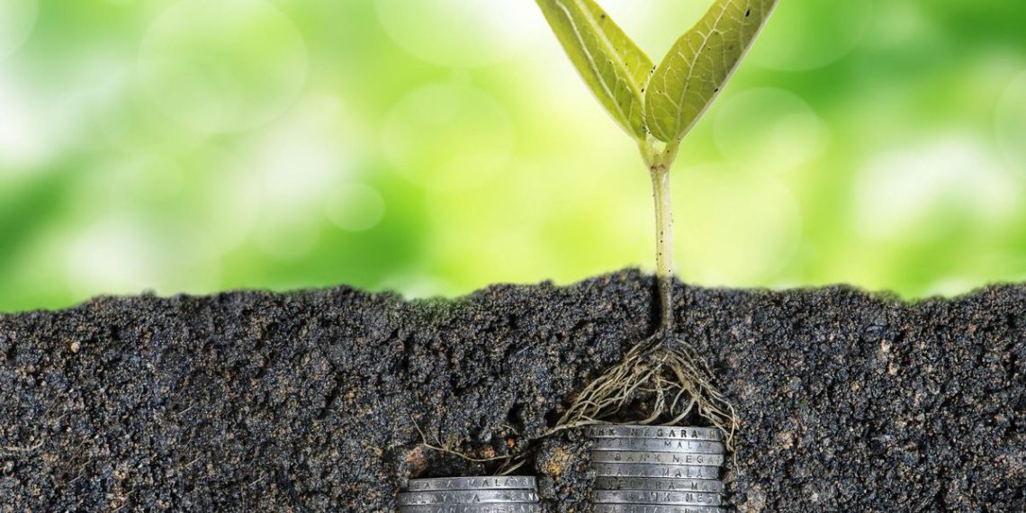 How to Fundraise Your Seed Round