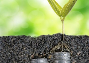 How to Fundraise Your Seed Round
