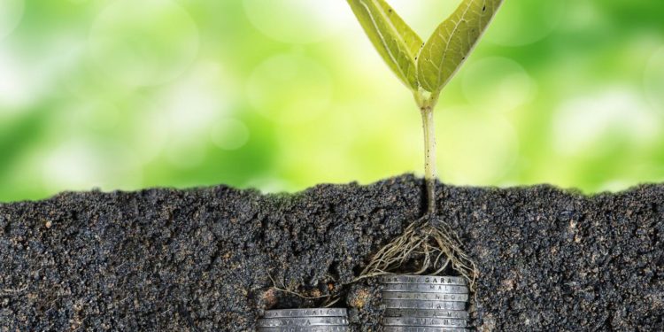How to Fundraise Your Seed Round