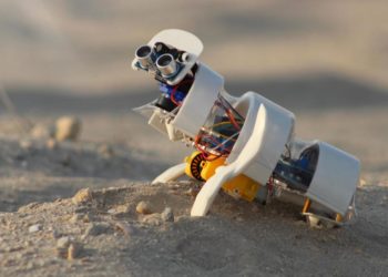 Global Grad Show 2021: A desert robot and a simple way to keep plastic out of the ocean point to a greener future