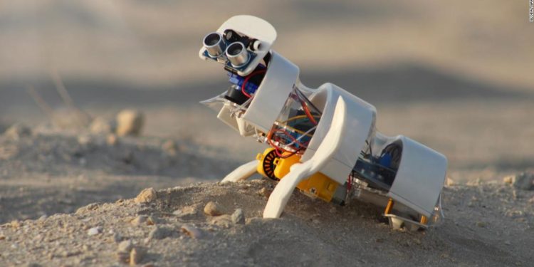 Global Grad Show 2021: A desert robot and a simple way to keep plastic out of the ocean point to a greener future