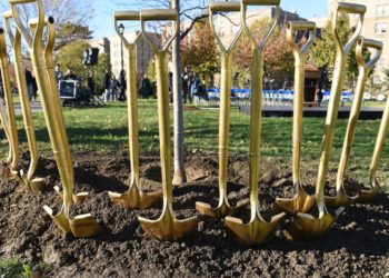 Democrats’ plan to boost ‘tree equity’ is actually a good idea