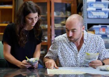 Local startup wins $250,000 global carbon removal student competition | News