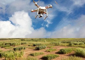Adaptive swarm robotics could revolutionize smart agriculture | News