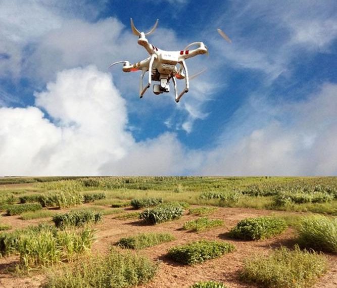 Adaptive swarm robotics could revolutionize smart agriculture | News