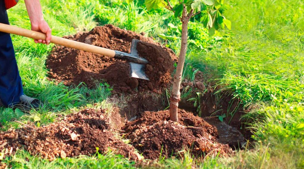 BBVA and Anthemis invest in startup Greenspark