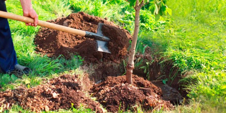 BBVA and Anthemis invest in startup Greenspark