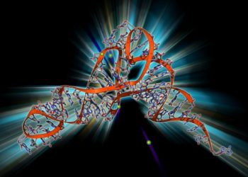 Flagship Pioneering’s new venture is betting on tRNA to treat “thousands of diseases” – TechCrunch