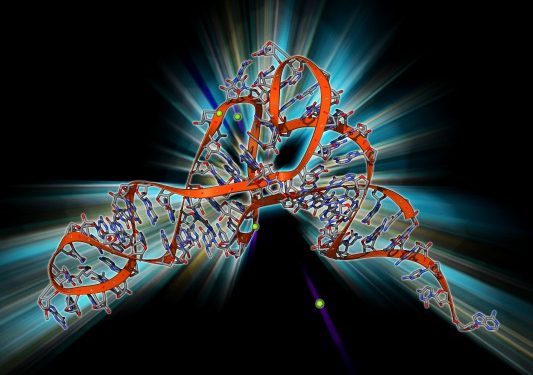 Flagship Pioneering’s new venture is betting on tRNA to treat “thousands of diseases” – TechCrunch