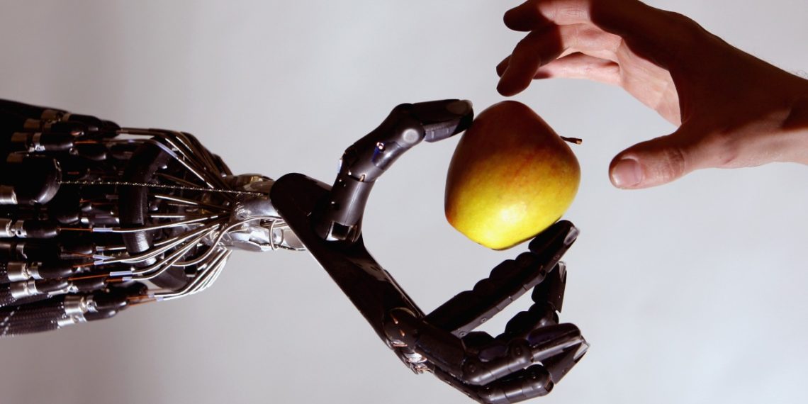 Rockford highschool students compete in a battle of robots